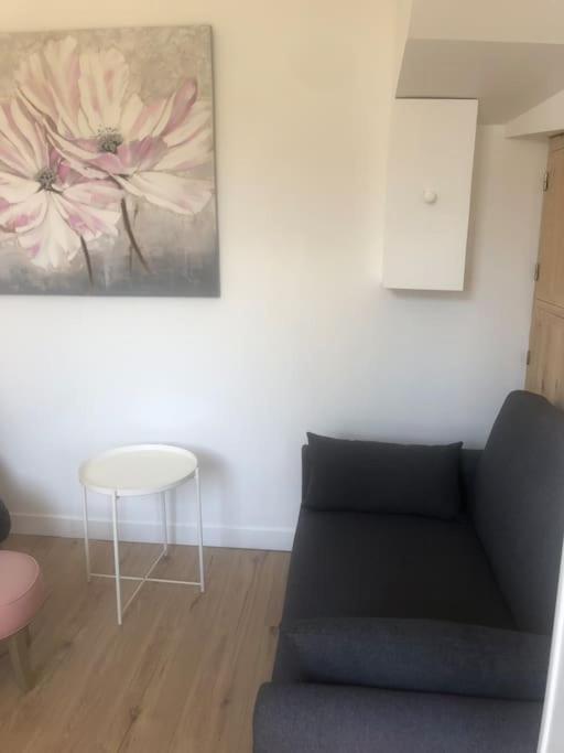 CHEZ ROMY, MAISON AVEC PARKING ET JARDIN photo 3