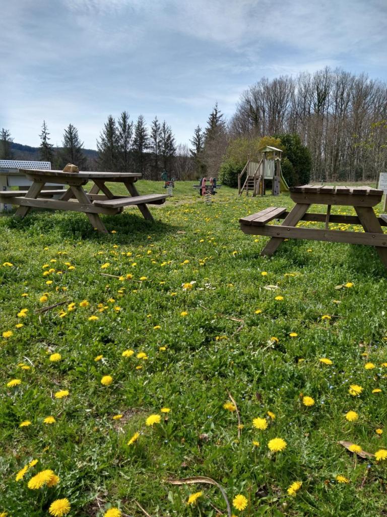 Séjour dans un cadre verdoyant photo 2
