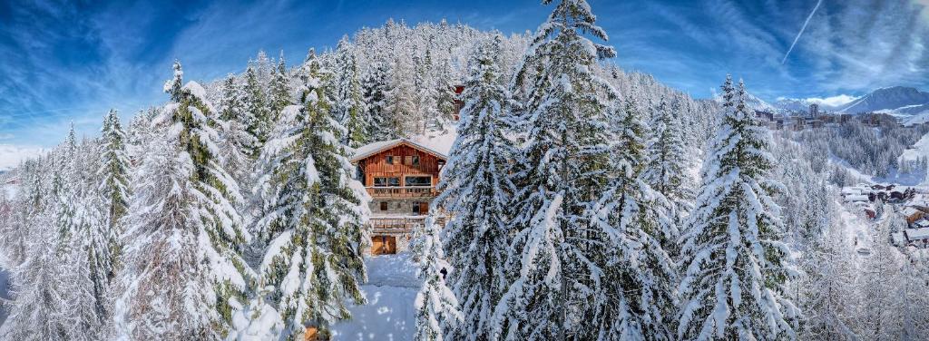 Chalet Dakota, Pied des pistes, 15 pers, La Plagne photo 3