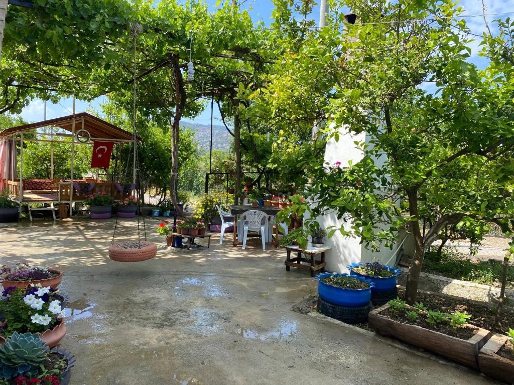 Kapukargın apart villa photo 4