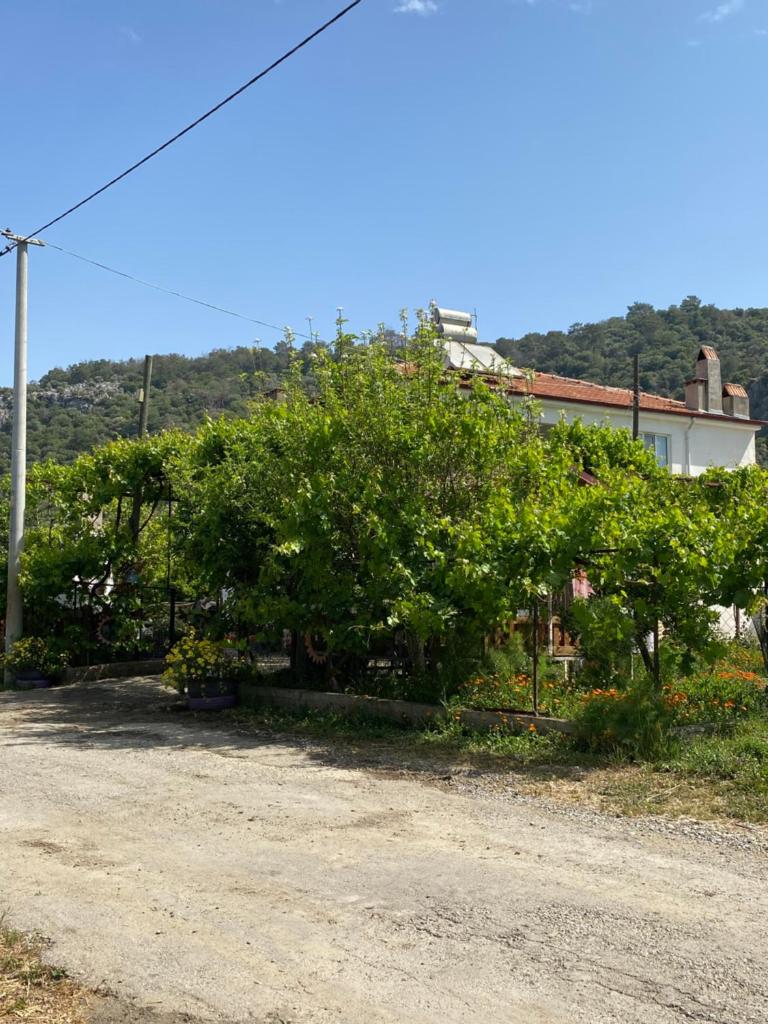 Kapukargın apart villa photo 2
