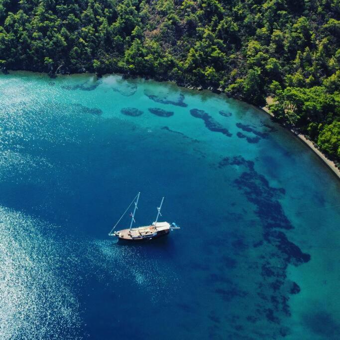AsterixYacht-navigate to Greece,Turkey and so more photo 2