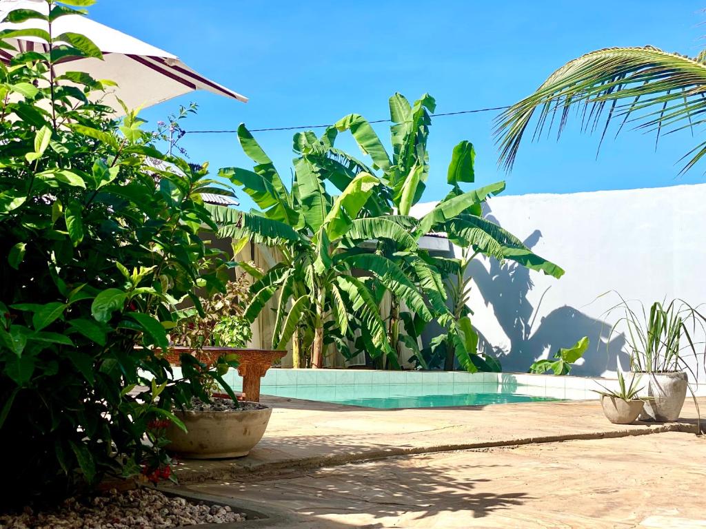 Maisha Villa Nungwi photo 4