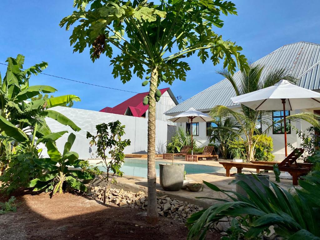 Maisha Villa Nungwi photo 3