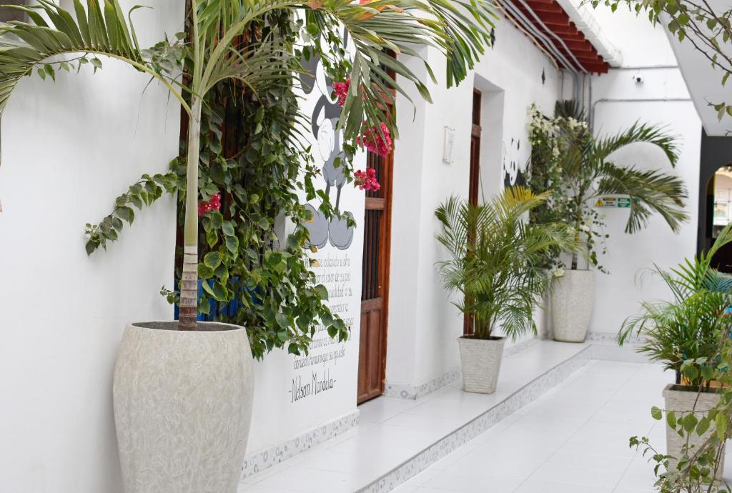 Comunidad Calle 13 Hotel Boutique photo 1