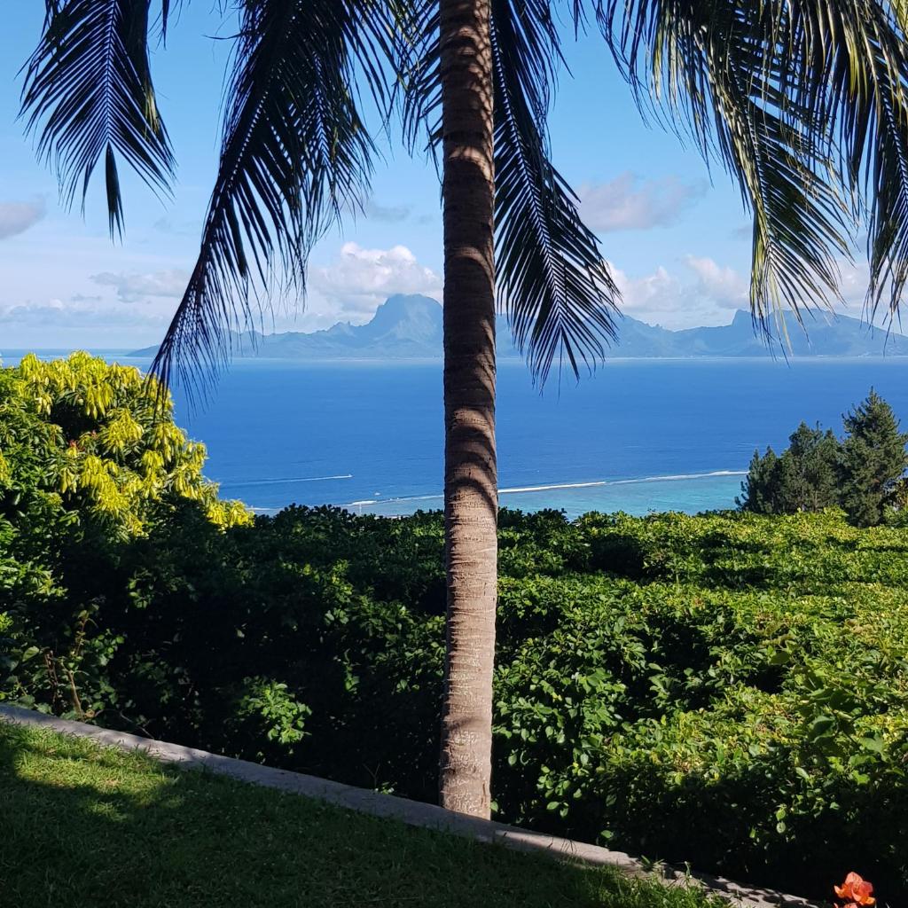 Villa Lodge - Bas de Villa avec piscine et vue océan et Moorea photo 1