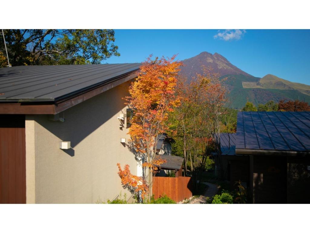 Innterhill Tsubasa Yufuin - Vacation STAY 94242v - Tap to explore photos