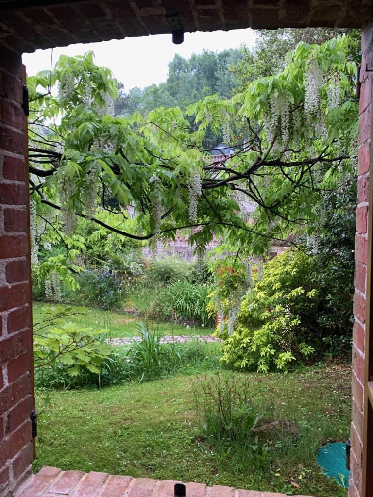 La Villa Flore photo 4