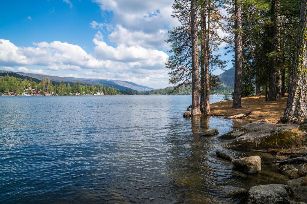 Fairfield Inn & Suites by Marriott Oakhurst Yosemite photo 4