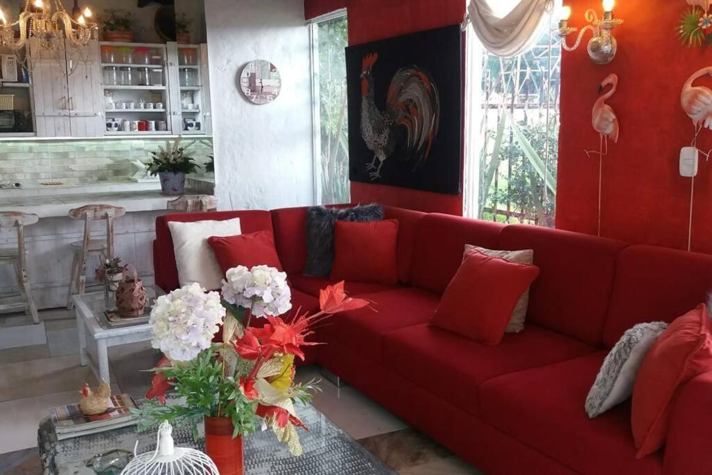 Suite Campestre Flamingo Paipa Boyaca photo 4