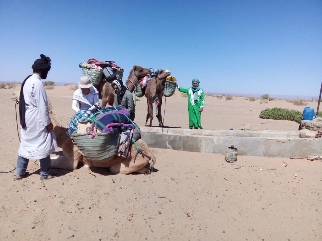 Desert skay camp photo 1