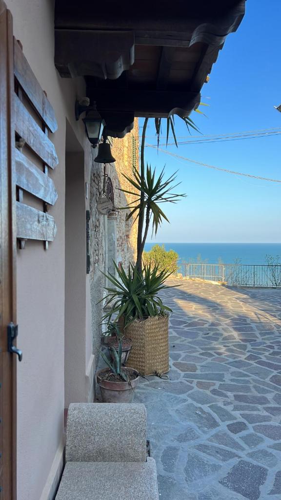 Zanna Casa Vacanza photo 2