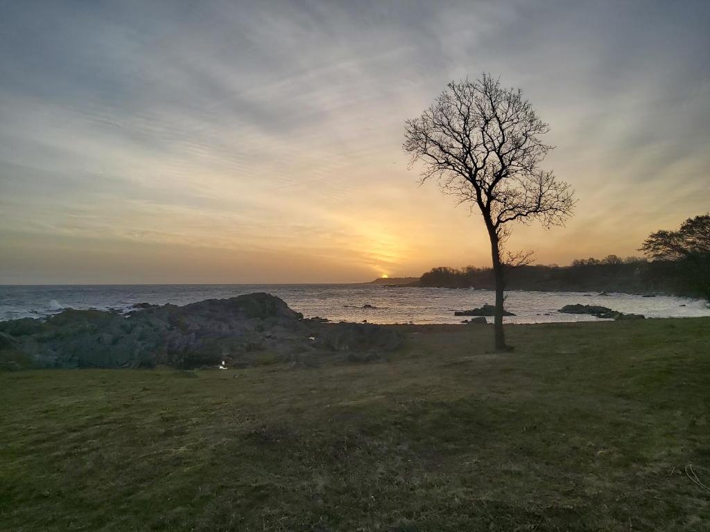Bølshavnvej5 Bed & Breakfast photo 2
