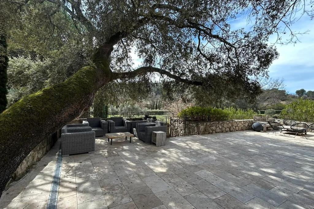 La Terrasse Collongue photo 3