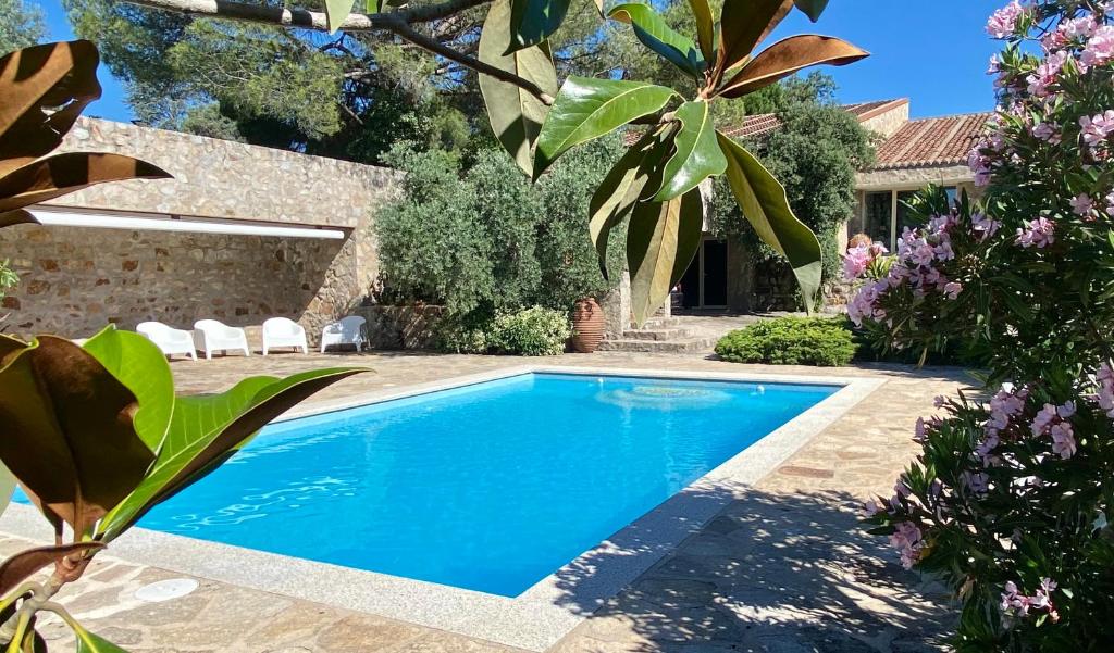 Luxury home Paraiso with pool and gym photo 2