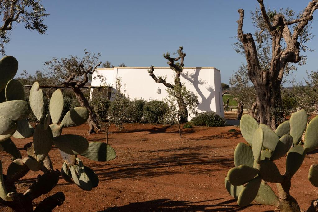 Sikalindi Apulian Farm&Living photo 3