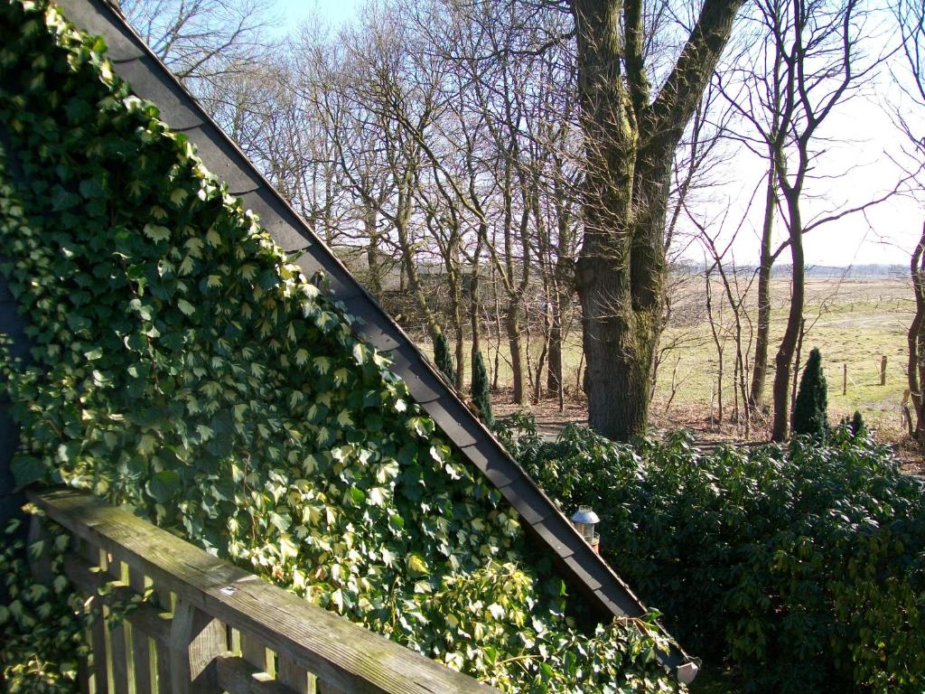 Haus Darmstadt photo 3