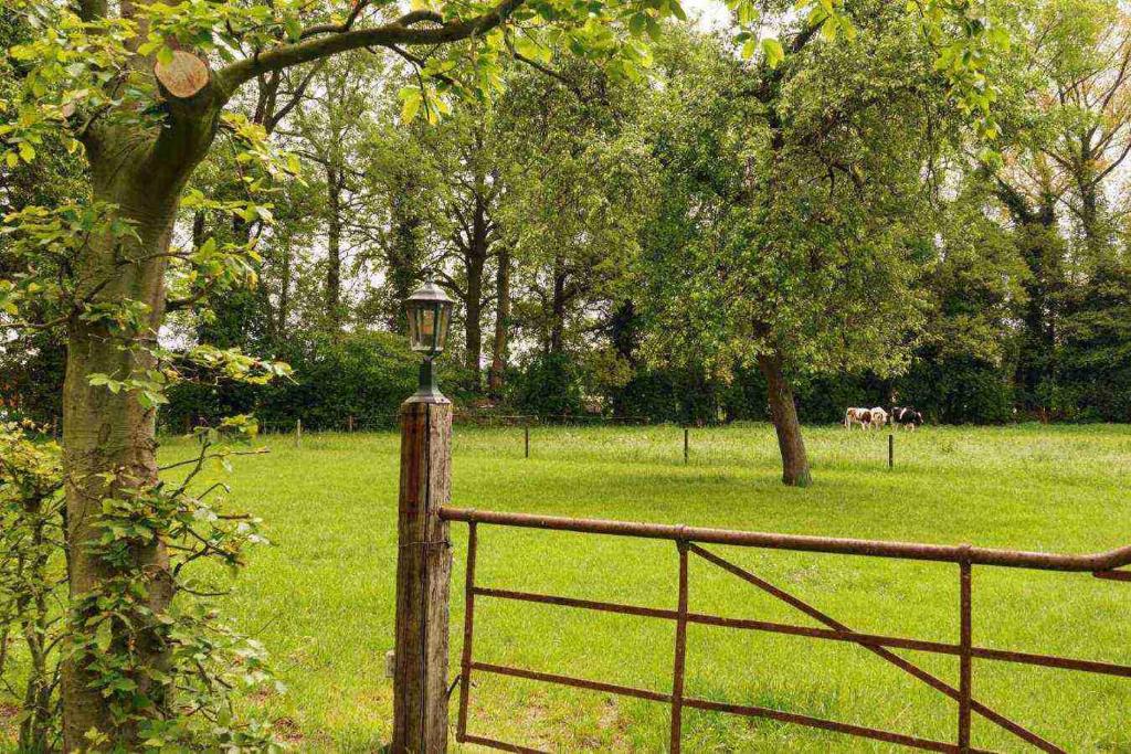 Vakantieboerderij 'Op den Pötter' photo 3