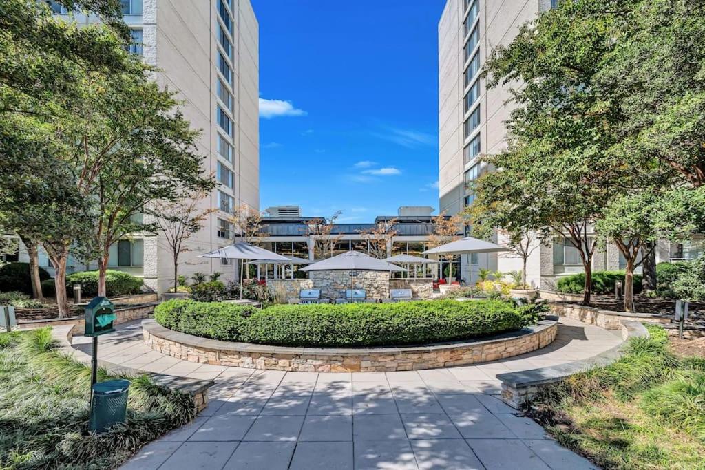 Luxury, Style, and Convenience condo at Crystal City photo 4