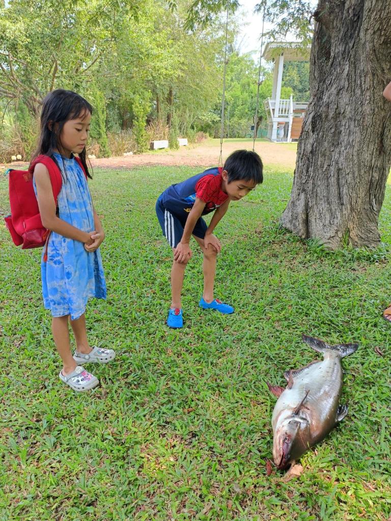 Rai Lung Tui Homestay photo 3
