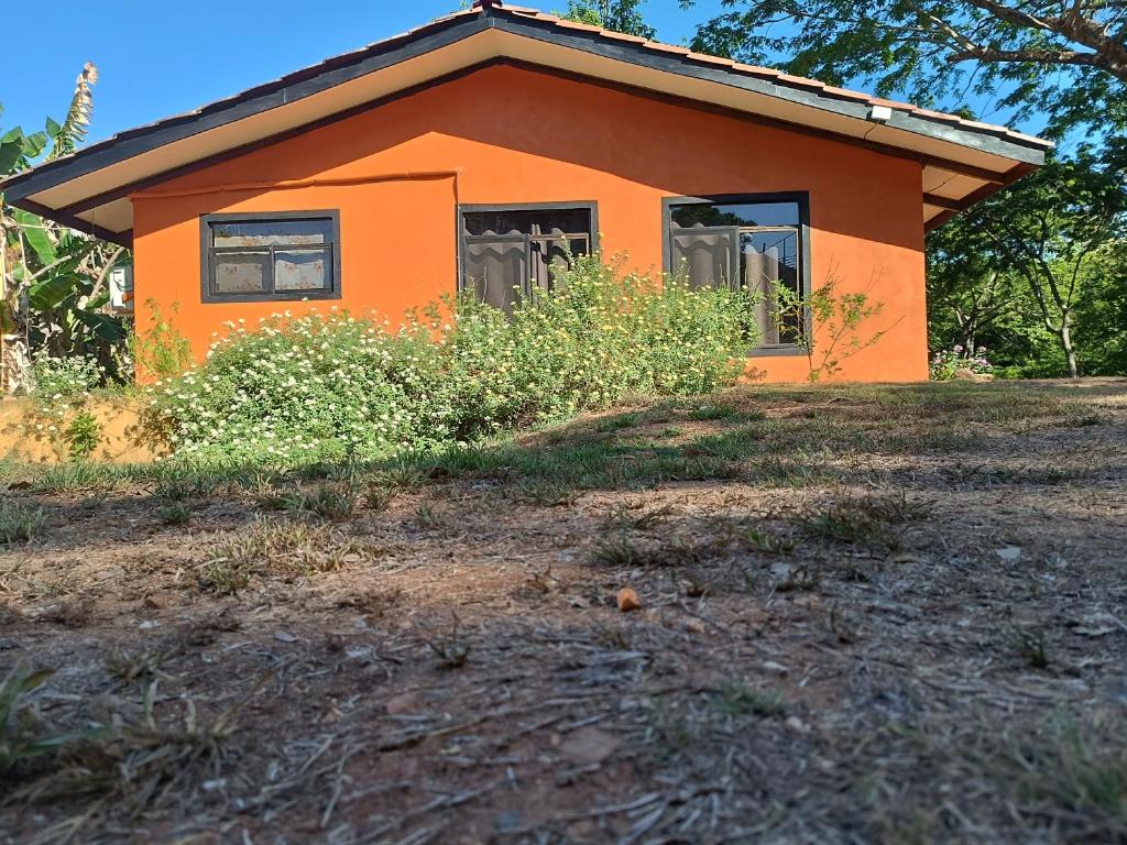 House Manantial de Vida photo 1
