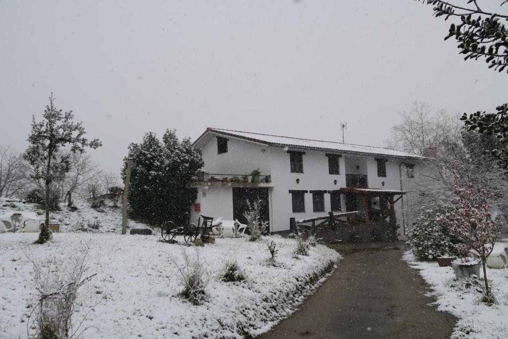 Balentziaga photo 1