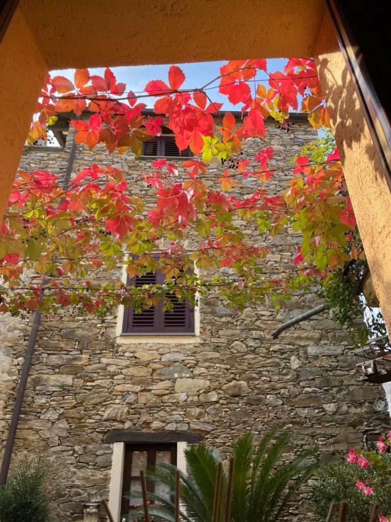 Borgata Cantone Country House B&B photo 1