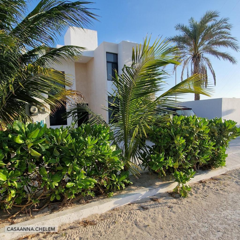 Casa Anna, Puerto Lindo, Chelem photo 3