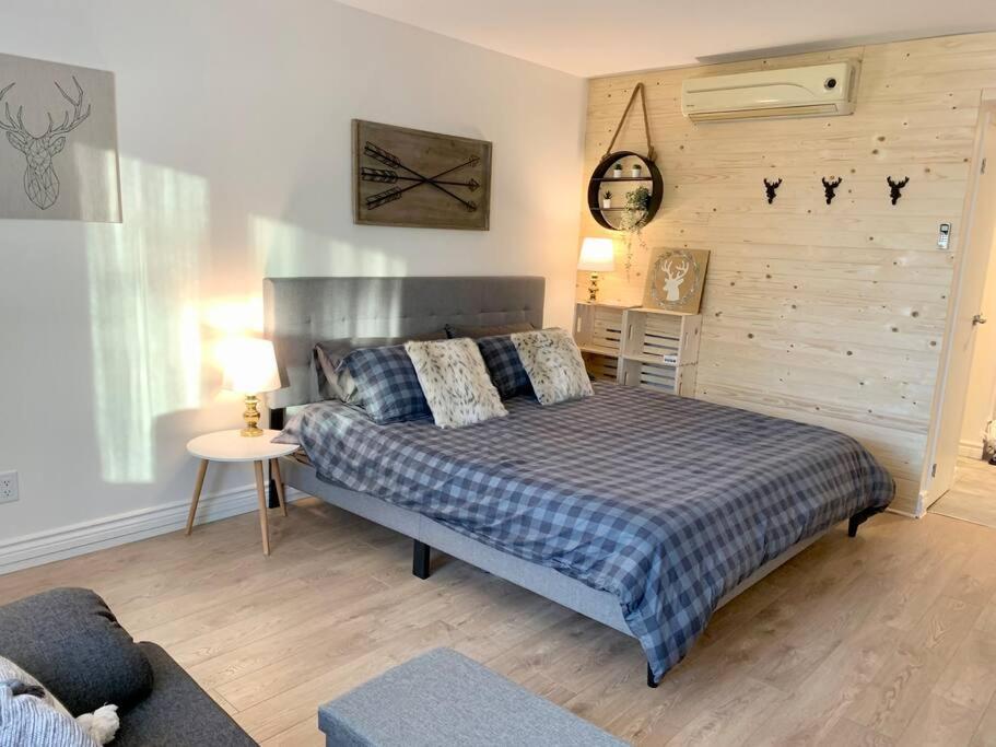 Loft LaprèSKI, Lit king, sauna/piscine et montagne photo 4