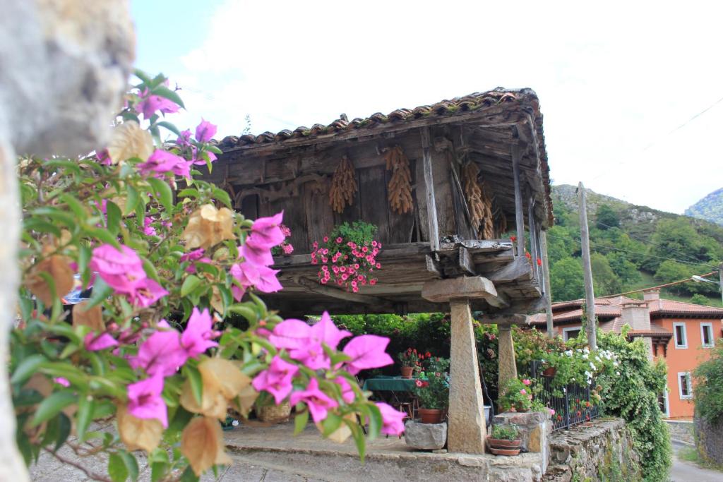 El Colladín photo 1