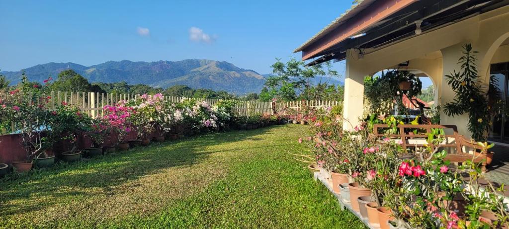 Mountain View Guest House KB photo 1