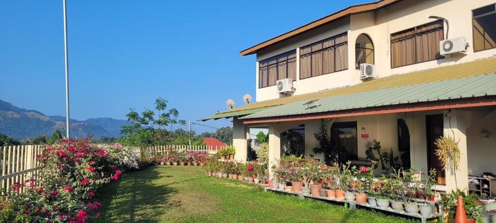 Mountain View Guest House KB photo 2