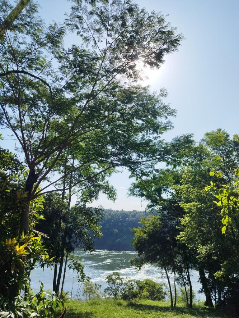 A la Vera del Río photo 2
