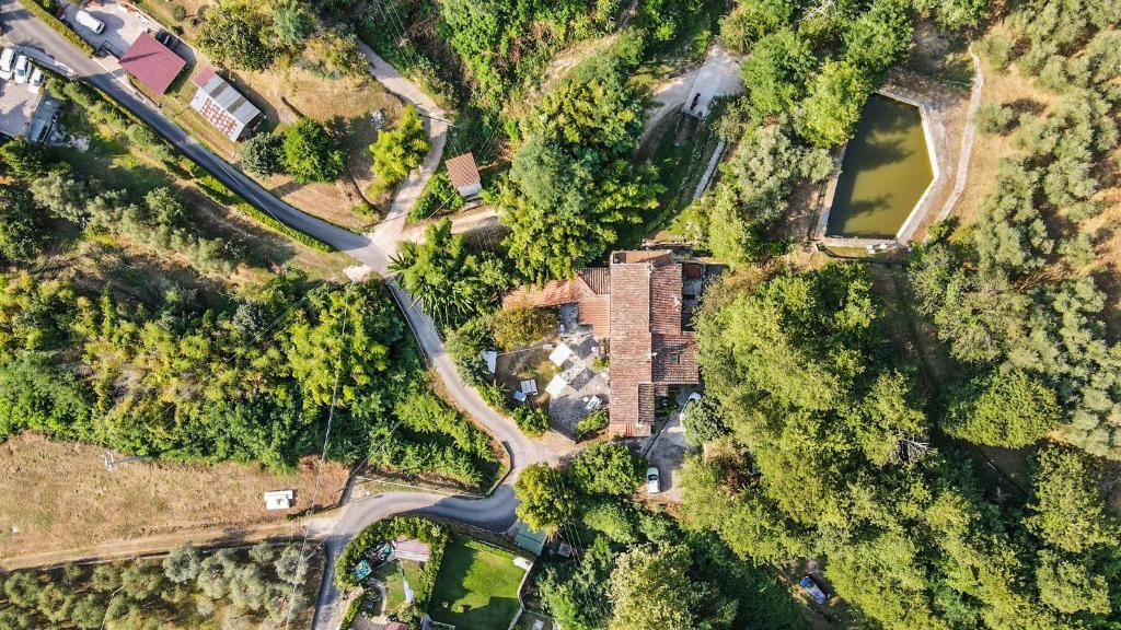 Guest House Antico Frantoio Pietrasanta Affittacamere photo 4