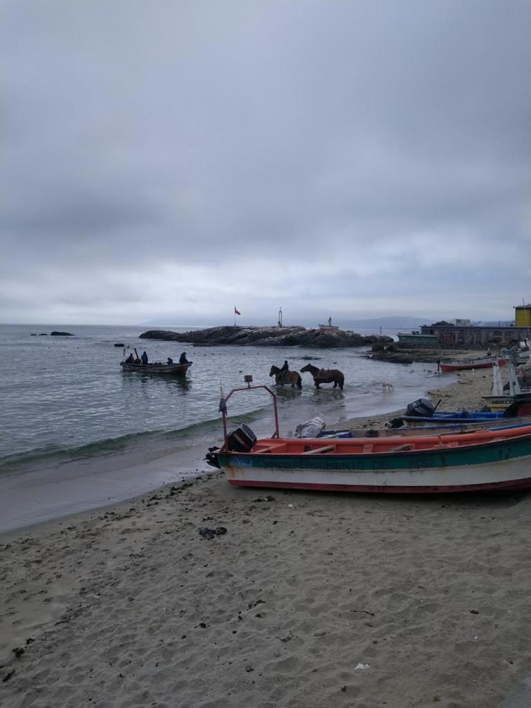 Al mare photo 4