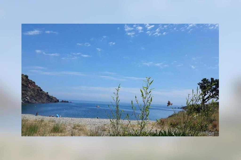 Vue mer, crique de Peyrefite, Cerbère-Banyuls.