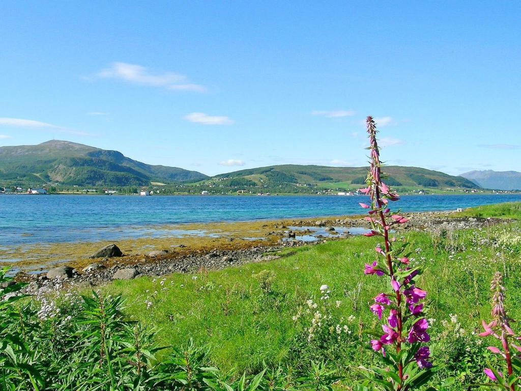 Holiday home SORTLAND III photo 4