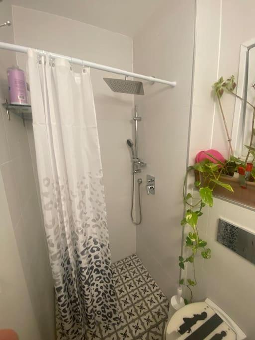 Sarin room photo 2