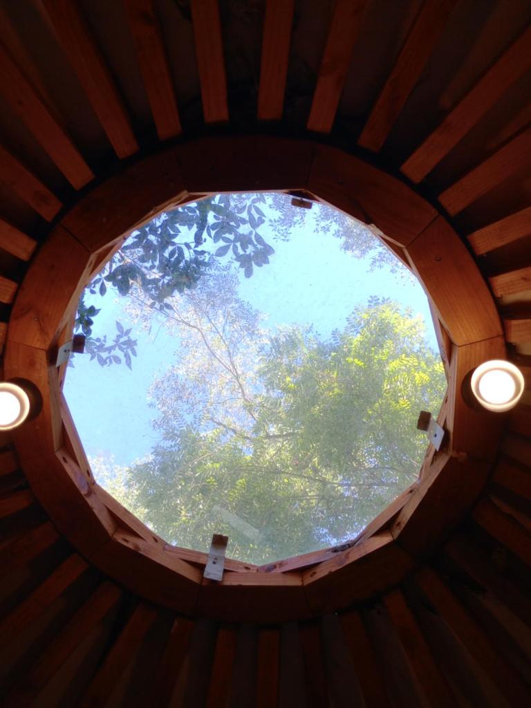 Yurtas Ivirareta Glamping photo 3
