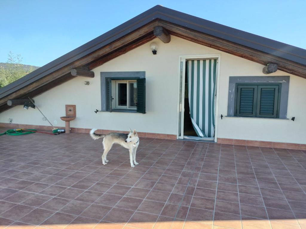 La terrazza photo 2