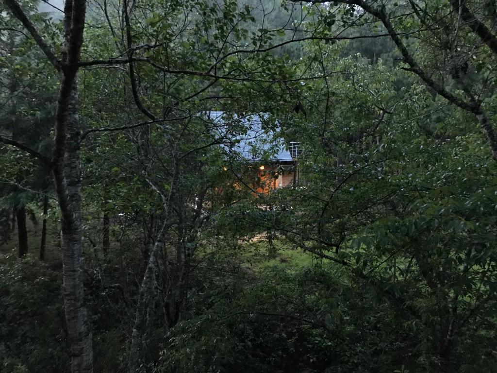 Tiny House photo 1