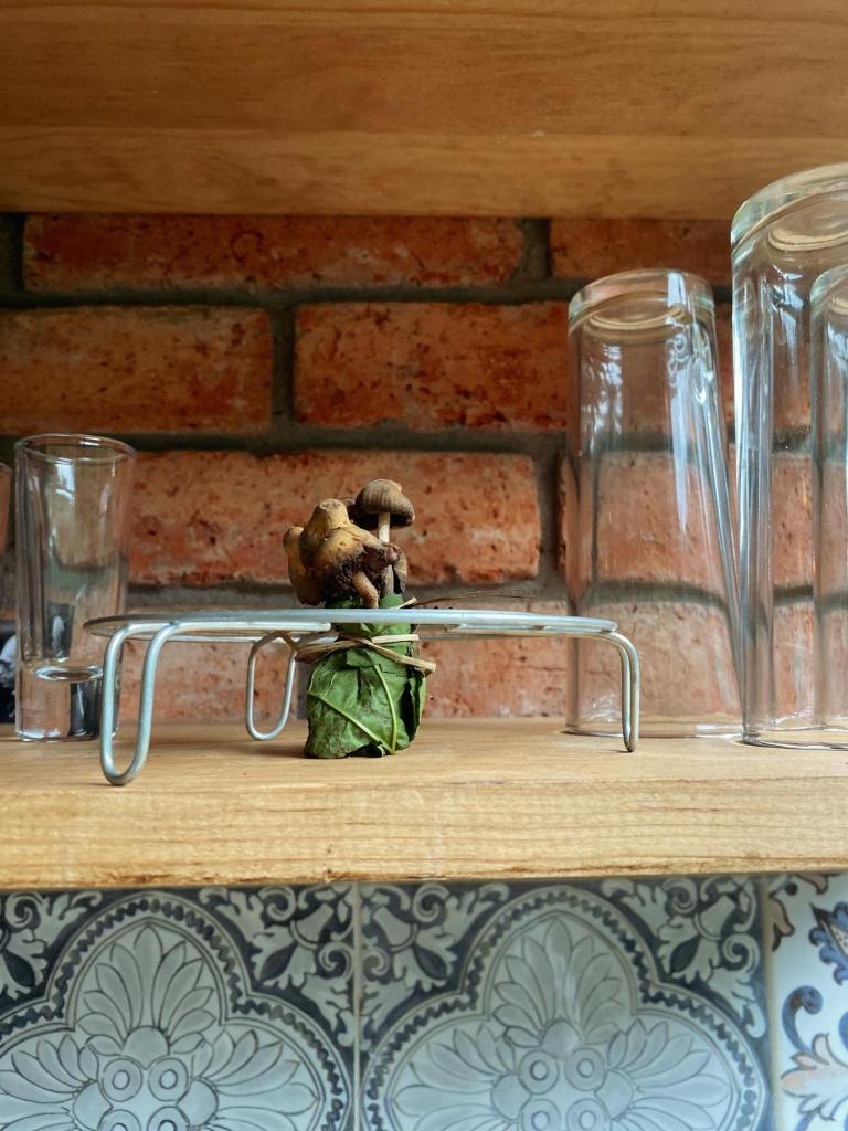 Tiny House photo 4