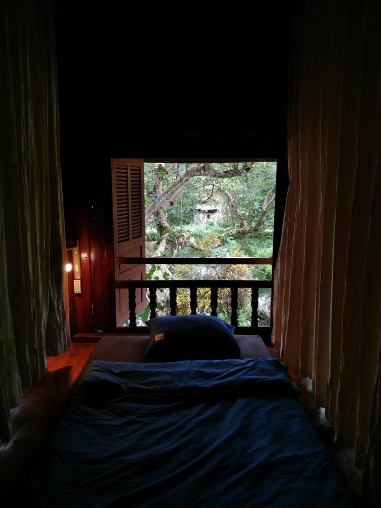 Mận Homestay - Lục Yên Homestay and Tour