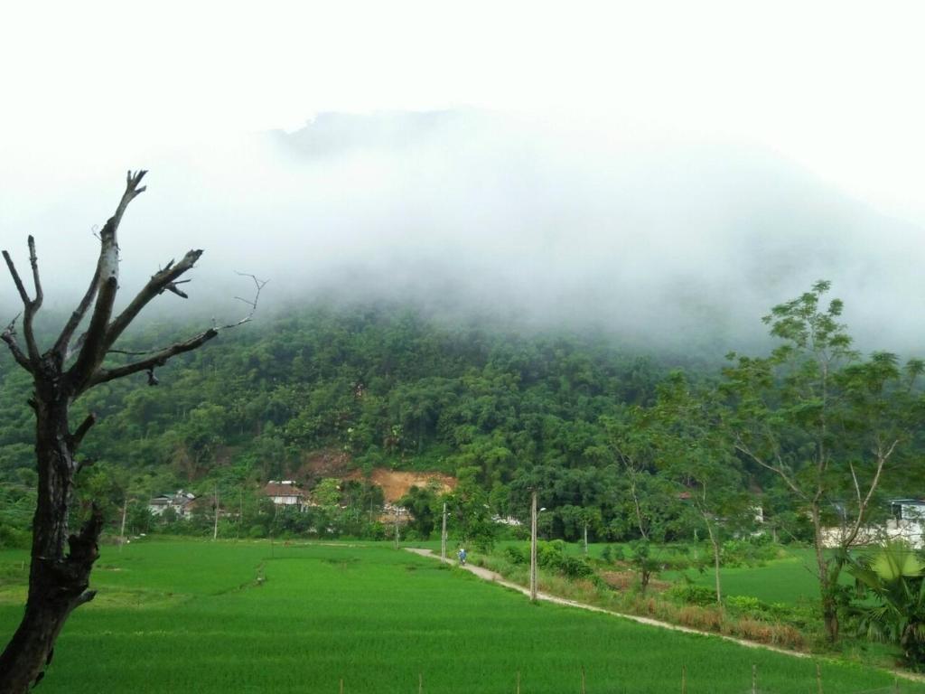 Mận Homestay - Lục Yên Homestay and Tour