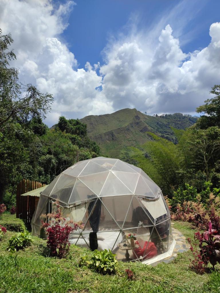 Colibamboo Domo Glamping photo 2
