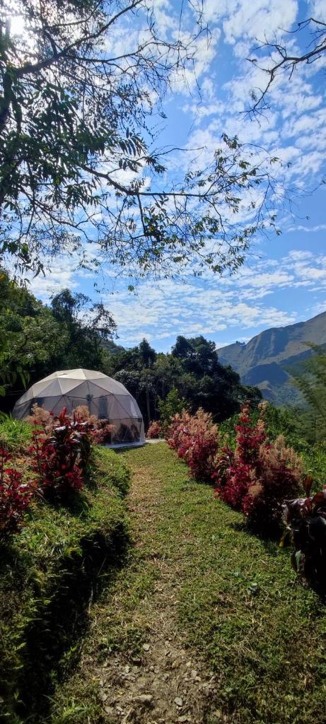 Colibamboo Domo Glamping photo 1