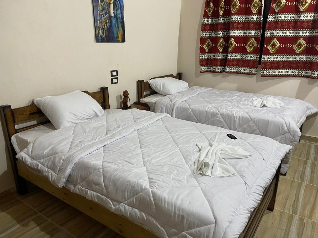 amzran hotel siwa photo 3