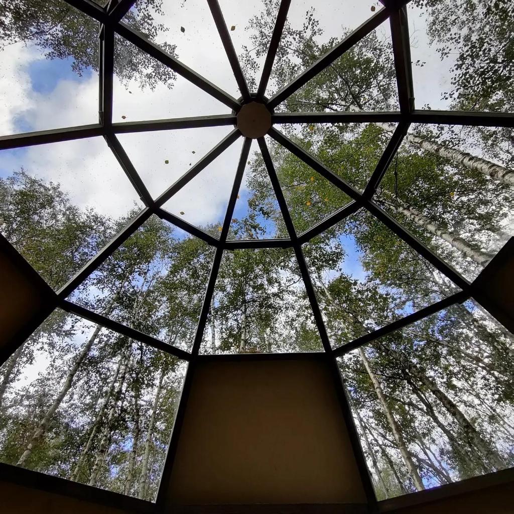 Environmental friendly Ecolodge photo 1