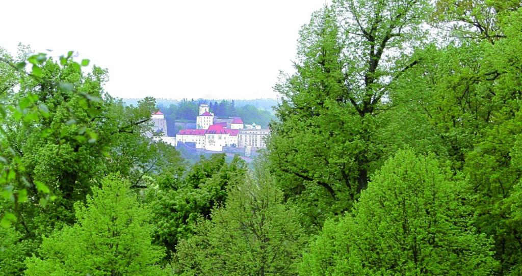 Hotel & Restaurant Waldschloss photo 3