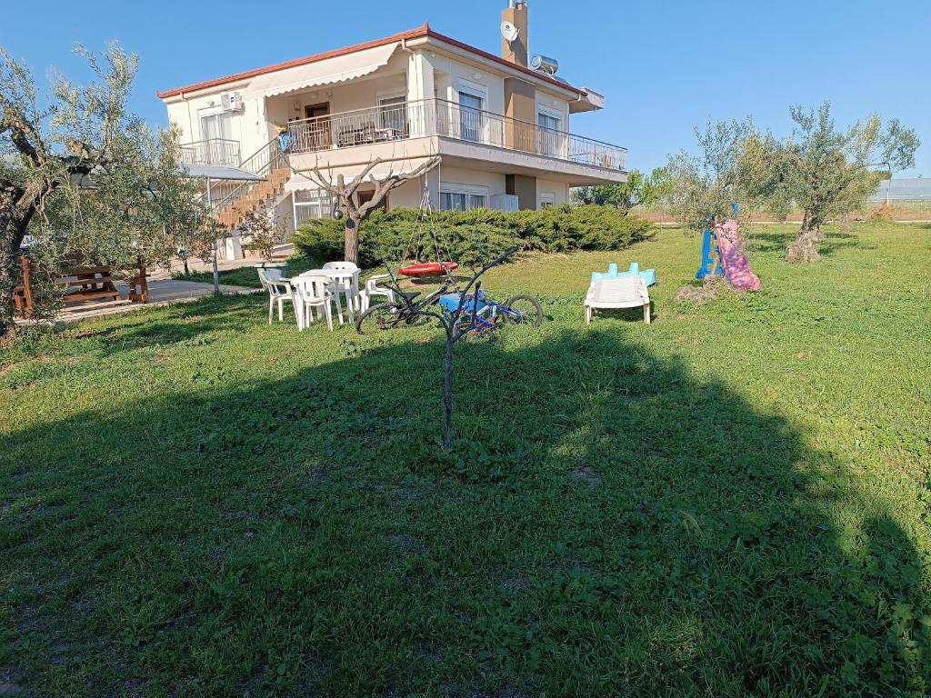 THE SECRET OLIVE HOUSE photo 2